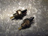 TFS_IMG_9124.jpg